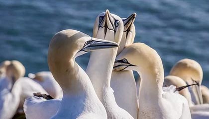 平湖最新的高价医保个人账户余额微信查询方法分享(平湖医保查询个人账户明细怎么查微信教程)